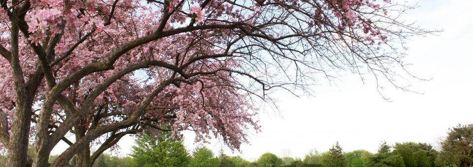 Bowling Green Country Club - Ohio - photo 4