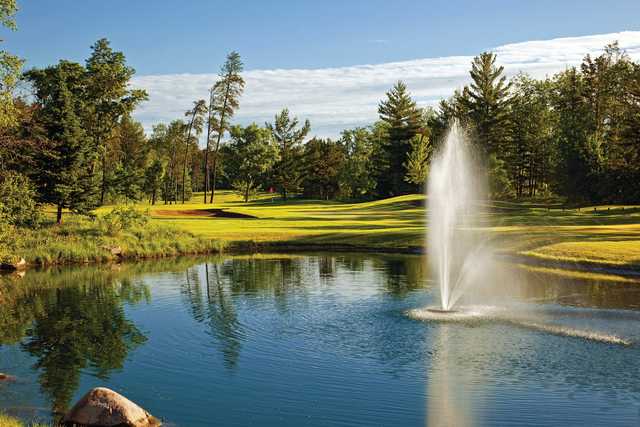 The Pines At Grand View Lodge - photo 4