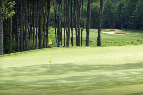 The Golf Club of New England - photo 2
