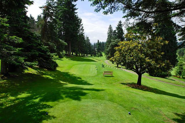 Tam O'Shanter Golf Course - photo 3