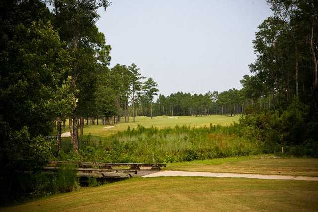 Coastal Pines Golf Club - photo 3