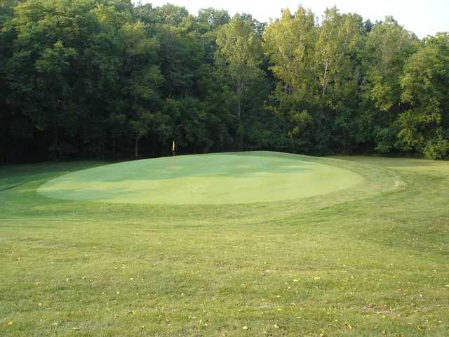 Mt Pleasant Golf & Country Club - photo 3