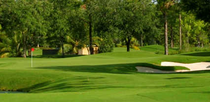 Adios Golf Club - photo 3