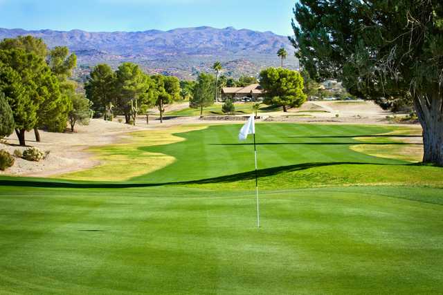 Wickenburg Country Club - photo 3