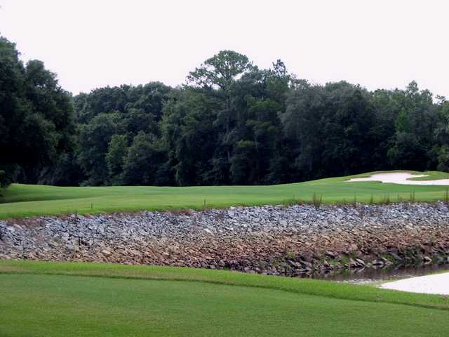 Okefenokee Golf Club - photo 4