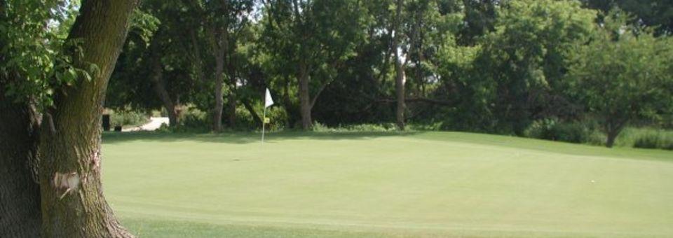 Bridges Golf Course - photo 3