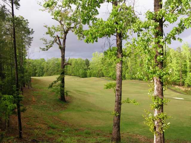 The Dogwoods Golf Course - photo 2
