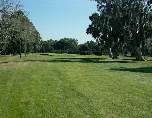 Village Green Golf Club - photo 4