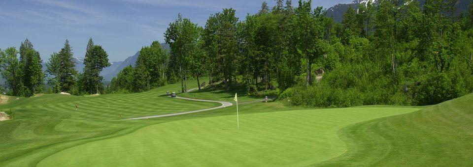 The Falls Golf Club - photo 5