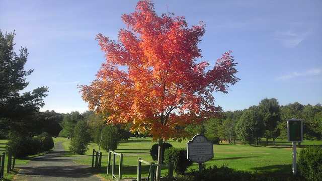 Evergreen - photo 2