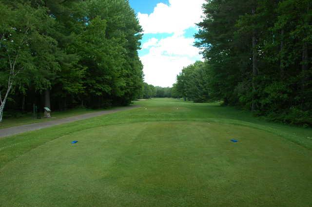 The Loon Golf Resort - The Ridge - photo 3