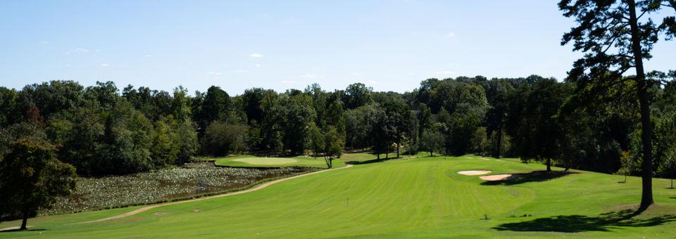 Greer Golf - photo 4