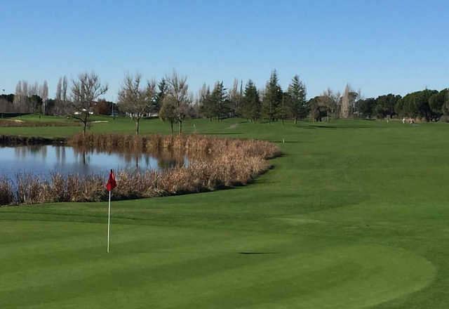 Rooster Run Golf Club - photo 4