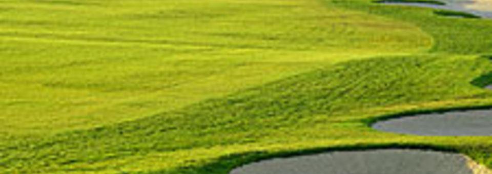 The Links at Divi Aruba - photo 2