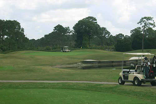 Indianwood Golf & Country Club - photo 3