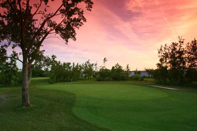 Diamond Hawk Golf Course - photo 5