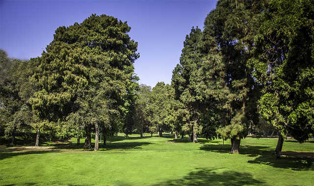 Los Feliz Municipal Golf Course - photo 3