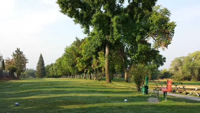 Rolling Greens - photo 3
