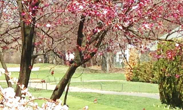 Rockville Links Club - photo 4