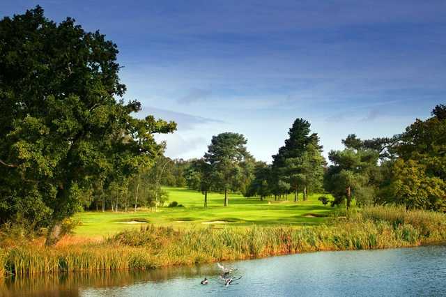Hadley Wood - photo 4