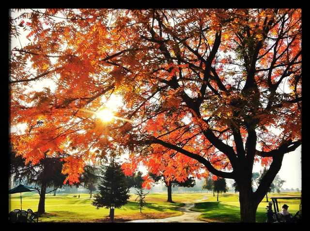 Riverside Golf Course - photo 3