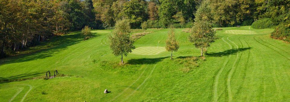 Ashdown Park - photo 2