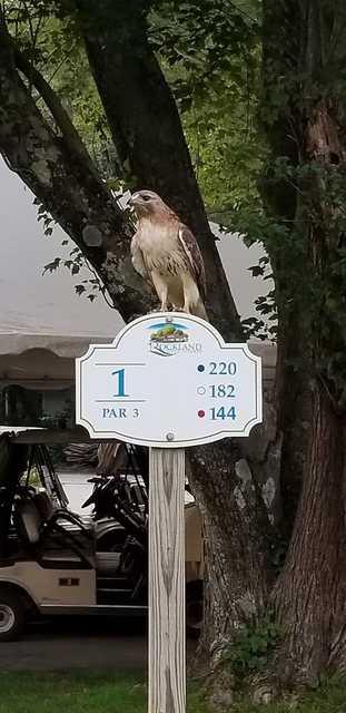 Rockland Golf Course (MA) - photo 6