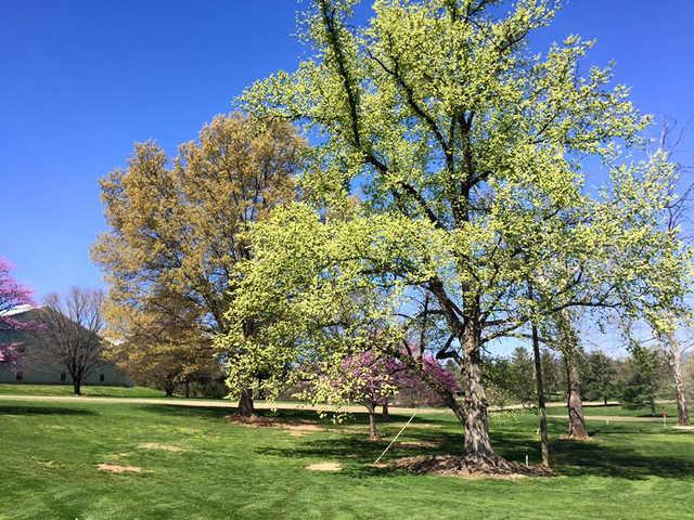 Roanoke Country Club - photo 5