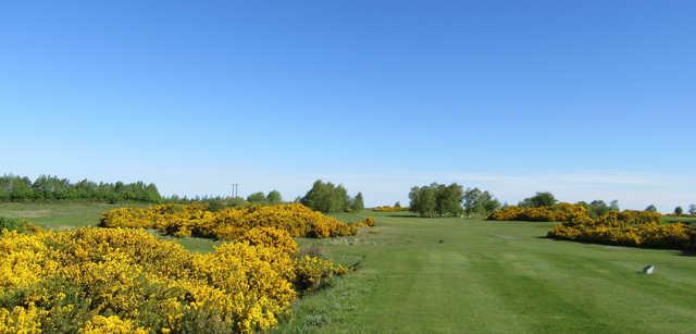 The Heath Golf Club - photo 2