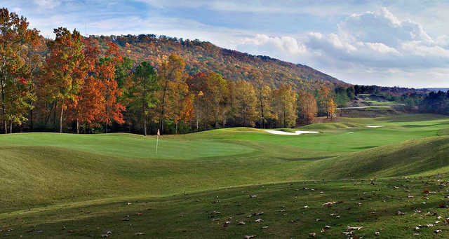 Robert Trent Jones Golf Trail At Oxmoor Valley - photo 2