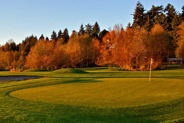 Birdies & Buckets Family Golf Centre - 9-Hole Course