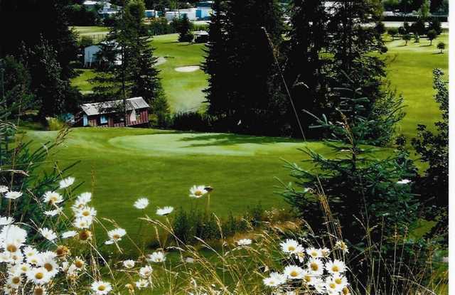 Club Shuswap Golf and RV - Lakeview Greens - photo 3
