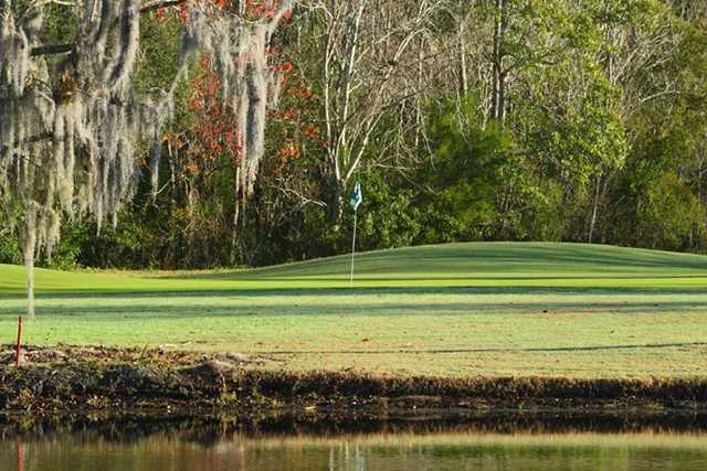 Plantation on Crystal River Golf Course - photo 3