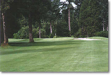 Tokatee Golf Club - photo 7