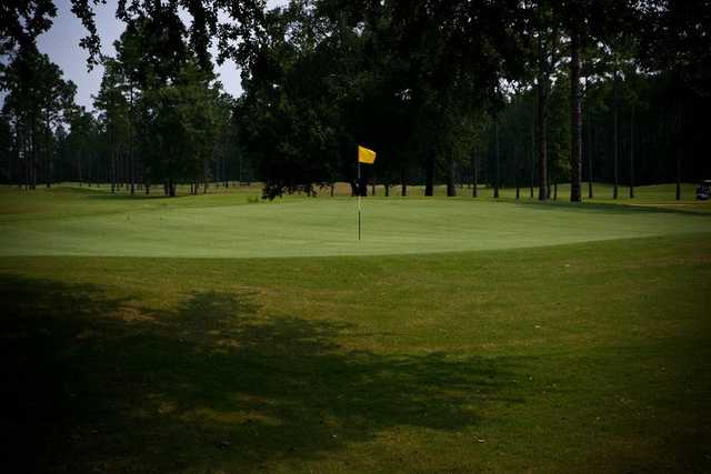 Coastal Pines Golf Club - photo 4