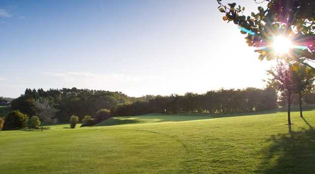 Tall Pines Golf Club - photo 5