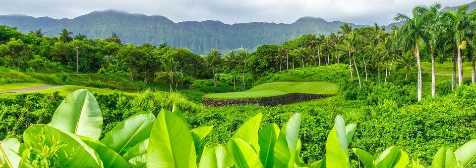 Royal Hawaiian Golf Club - photo 6