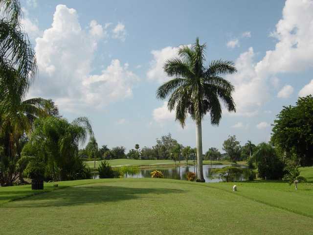 Hibiscus Golf Club - photo 6