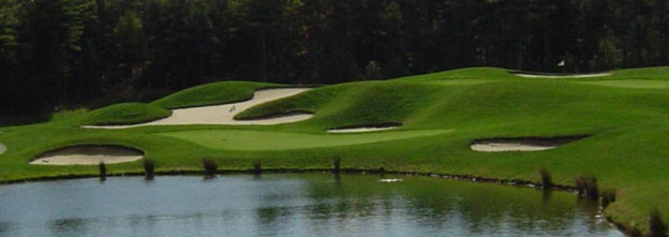Village Links Golf Club - photo 3