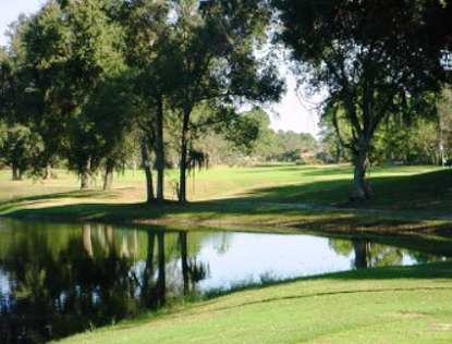 The Preserve at Turnbull Bay - photo 3