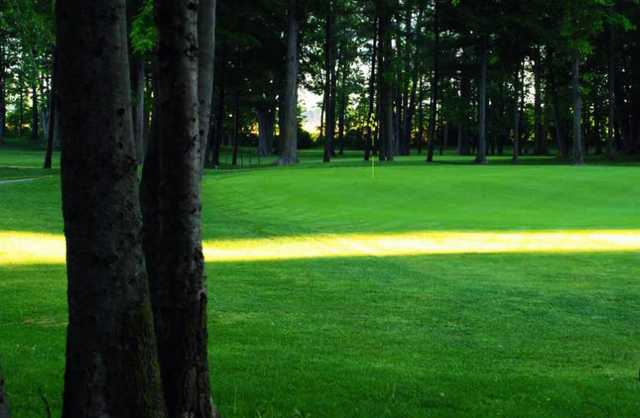 Burford Golf Links - photo 4