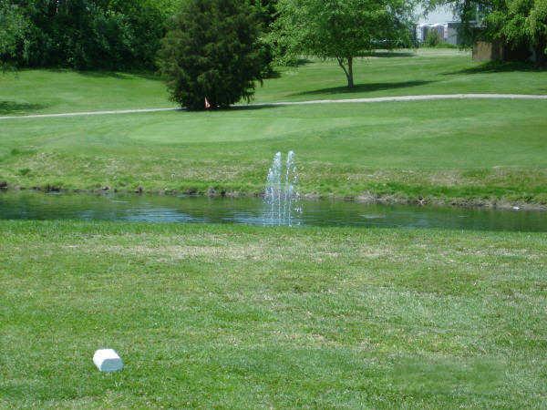Elmwood Golf Course - photo 3
