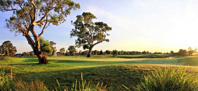 Sandhurst Club – Champions Course - photo 2