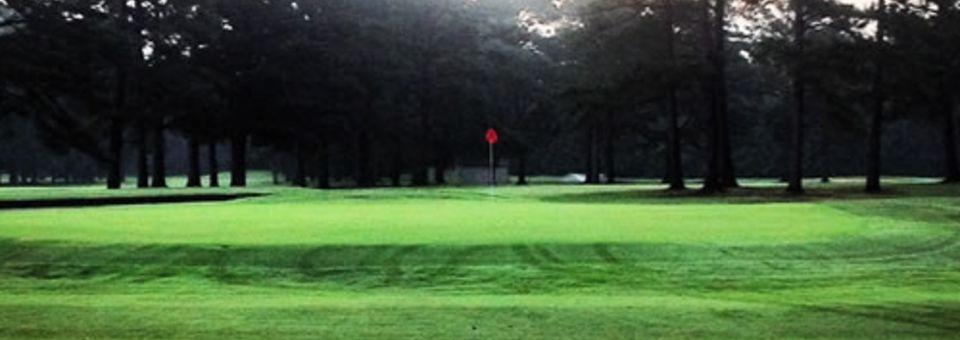Ayden Golf & Country Club - photo 4