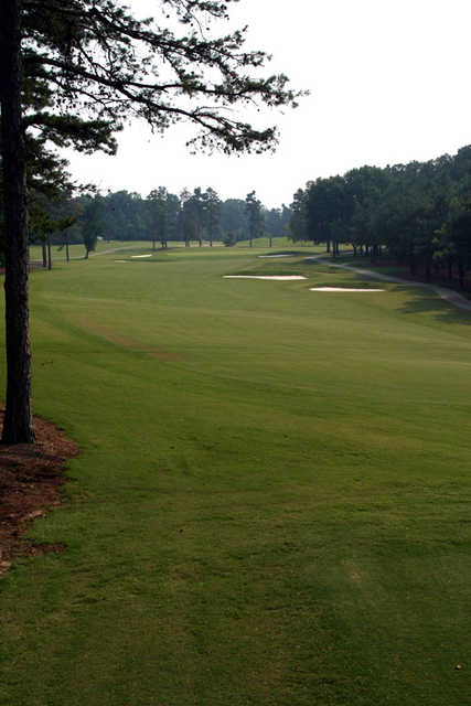 Forest Oaks - photo 3
