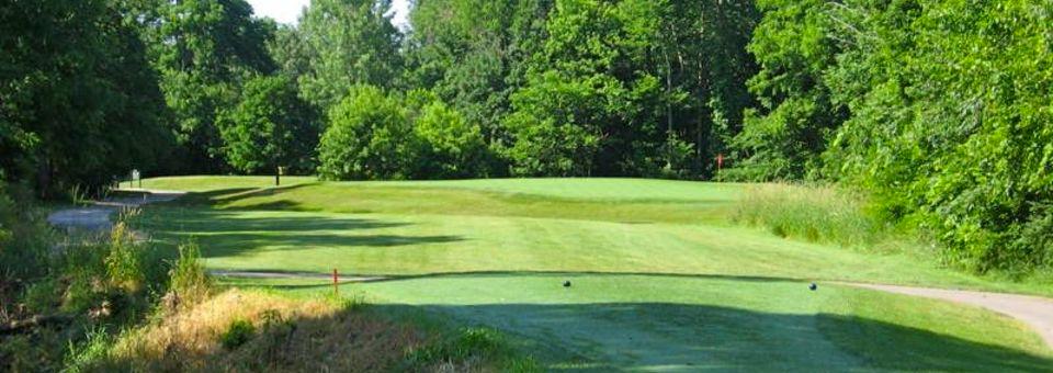 Chestnut Hills Golf Club - photo 4