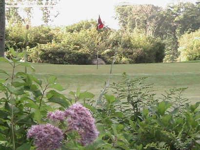 Swansea Country Club - photo 5