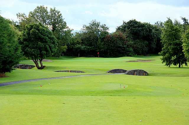 Lucan Golf Club - photo 8