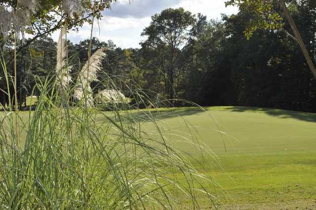 Legacy Pines - photo 3