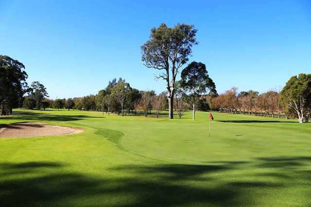 Moruya Golf Club - photo 3